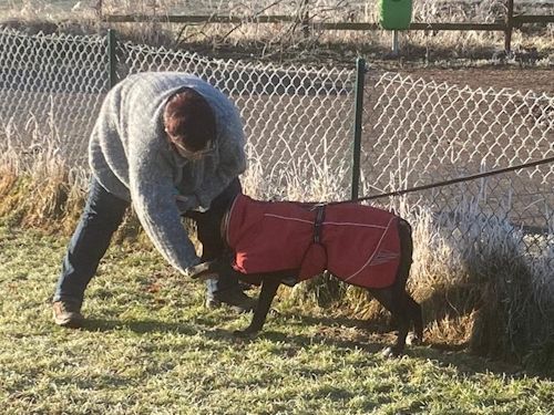 Winterkurs 204/2025 Bild 49  TRAINING SACRED DOG