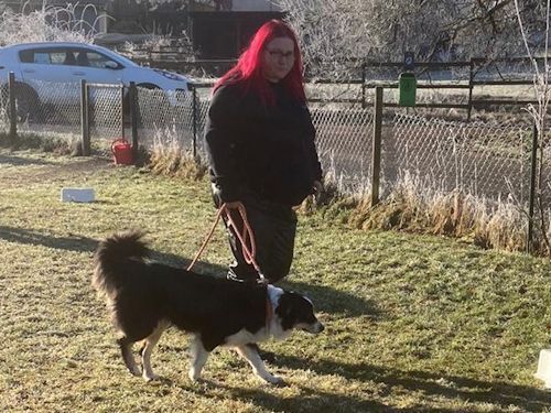 Winterkurs 204/2025 Bild 44 TRAINING SACRED DOG