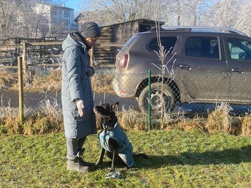 Winterkurs 204/2025 Bild 42  TRAINING SACRED DOG