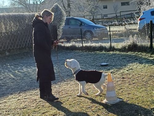 Winterkurs 204/2025 Bild 37  TRAINING SACRED DOG