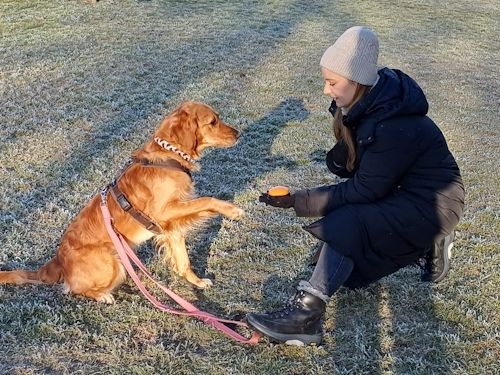 Winterkurs 204/2025 Bild 31 TRAINING SACRED DOG