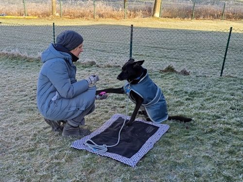 Winterkurs 204/2025 Bild 28  TRAINING SACRED DOG