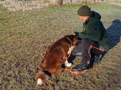 Winterkurs 204/2025 Bild 26 TRAINING SACRED DOG