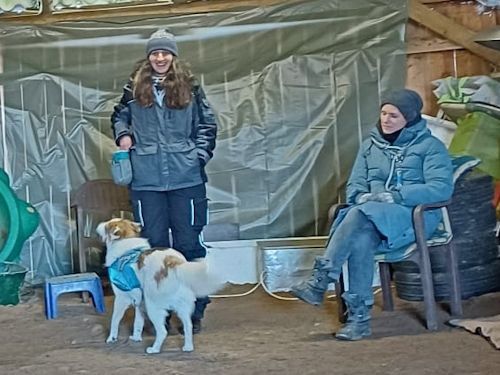 Winterkurs 204/2025 Bild 24 TRAINING SACRED DOG