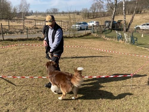 Winterkurs 204/2025 Bild 65 TRAINING SACRED DOG