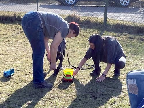 Winterkurs 204/2025 Bild 66 TRAINING SACRED DOG