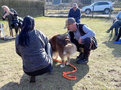Winterkurs 204/2025 Bild 57 TRAINING SACRED DOG