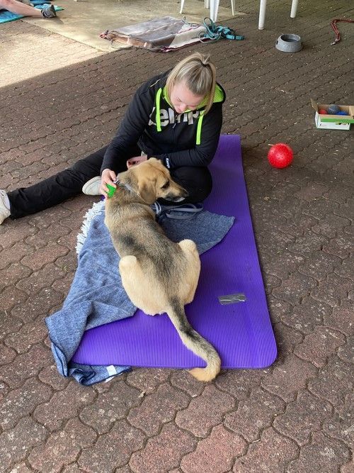 Sommerkurs 2023 Bild 12 TRAINING SACRED DOG