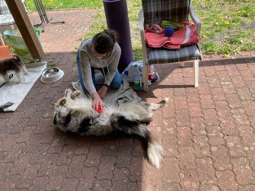 Sommerkurs 2023 Bild 15 TRAINING SACRED DOG