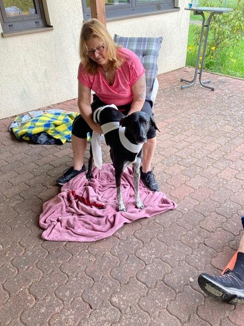 Sommerkurs 2023 Bild 18 TRAINING SACRED DOG