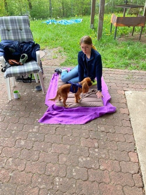 Sommerkurs 2023 Bild 19 TRAINING SACRED DOG