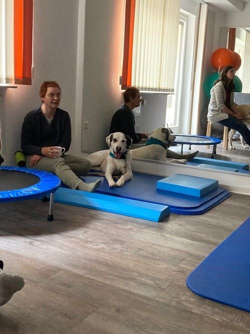 TRAINING SACRED DOG 42  2022-2023