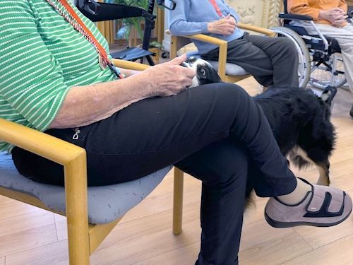 Winterkurs 204/2025 Bild 58 TRAINING SACRED DOG