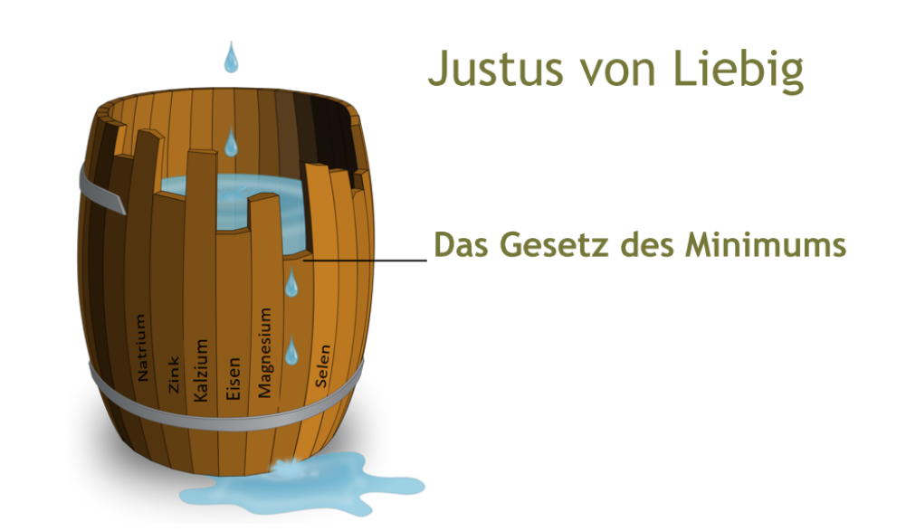 Das Gesetz des Minimum