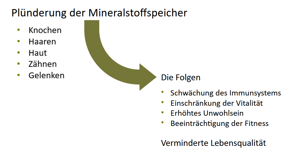 Plünderung der Mineralstoffspeicher