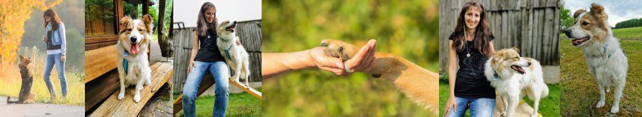 tiergestützt Therapie tiergestützt Therapie