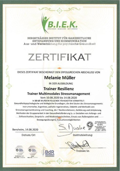 Trainer Resilienz Trainer Resilienz