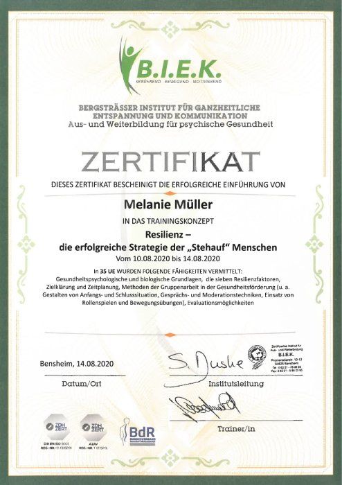 Trainingskonzept Resilienz Trainingskonzept Resilienz