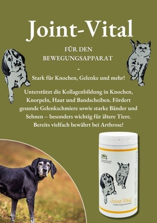 Joint-Vital Für den Bewegung Apparat Produktabbildung mit Hund