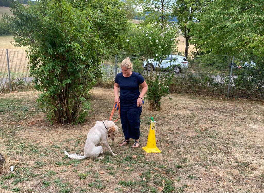 TRAINING SACRED DOG 23