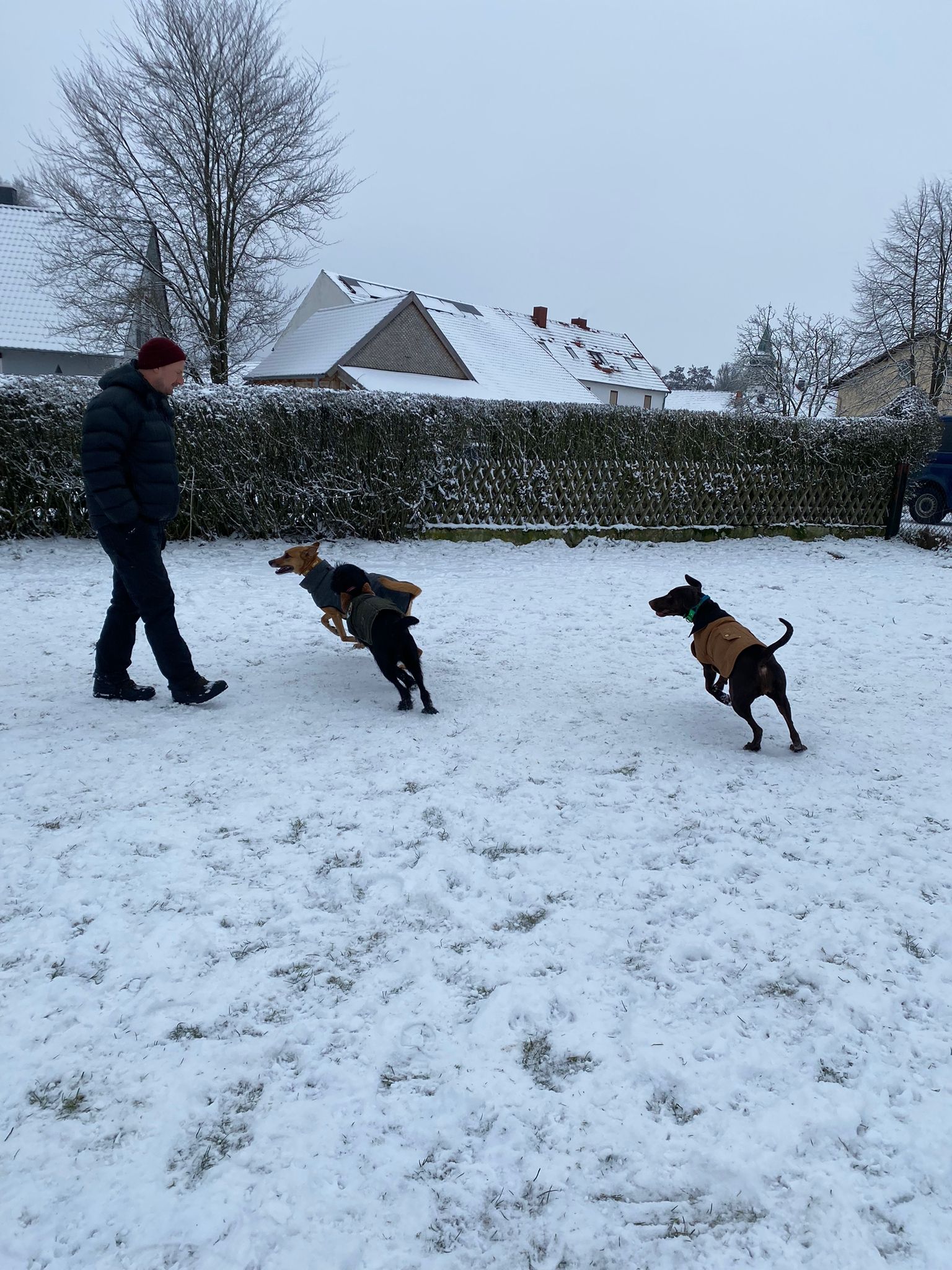 TRAINING SACRED DOG 4 2022-2023