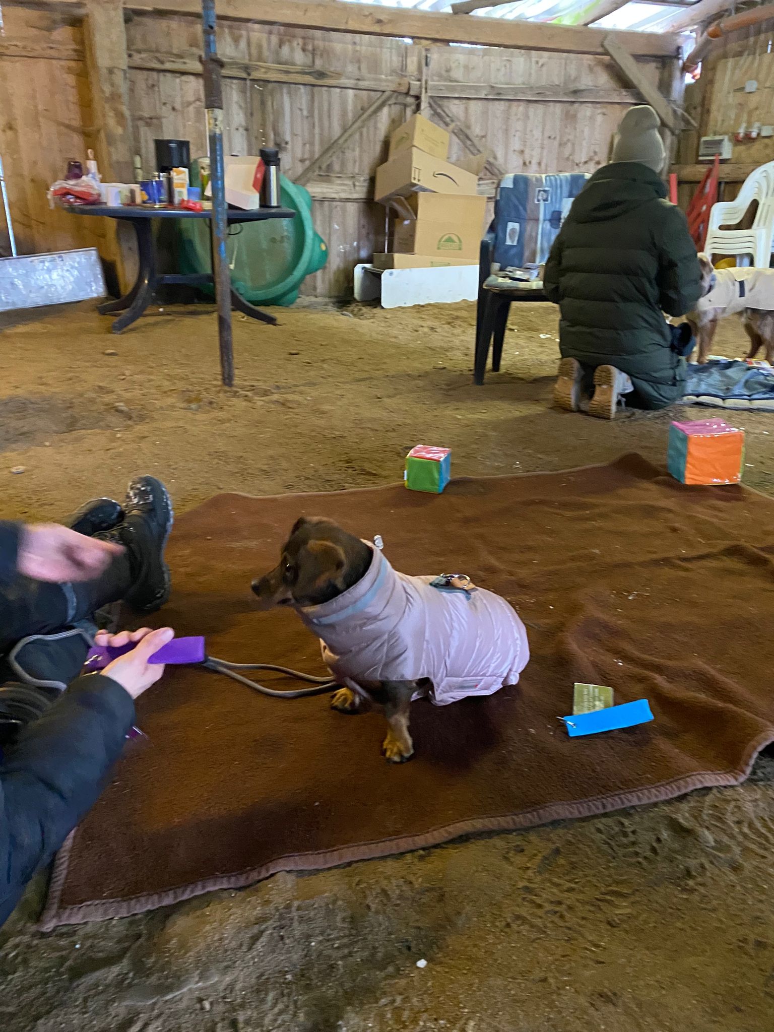 TRAINING SACRED DOG 7 2022-2023