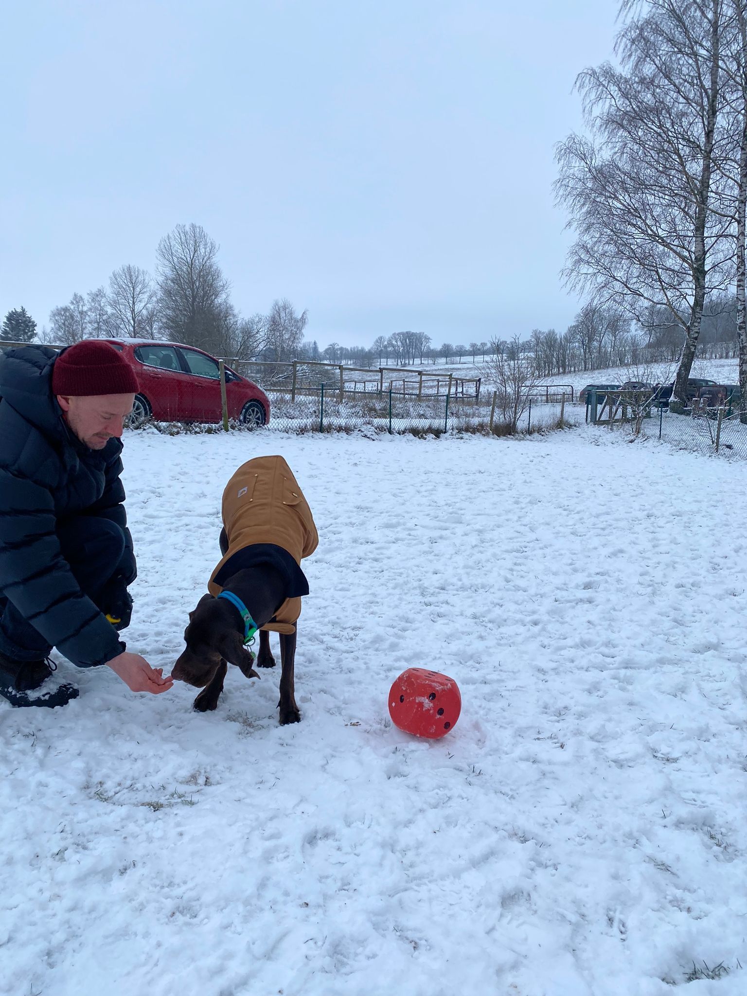 TRAINING SACRED DOG 8 2022-2023