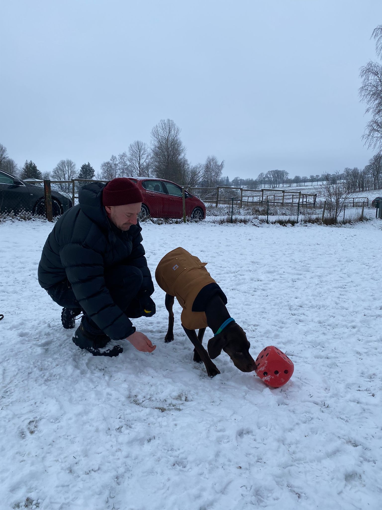 TRAINING SACRED DOG 9 2022-2023