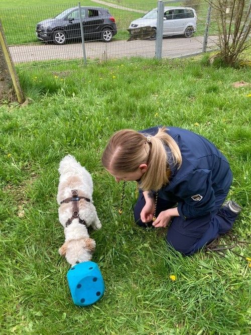 Sommerkurs 2023 Bild 7 TRAINING SACRED DOG