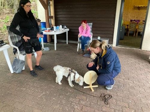 Sommerkurs 2023 Bild 1 TRAINING SACRED DOG