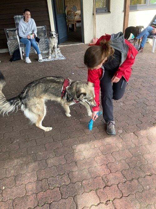 Sommerkurs 2023 Bild 3 TRAINING SACRED DOG