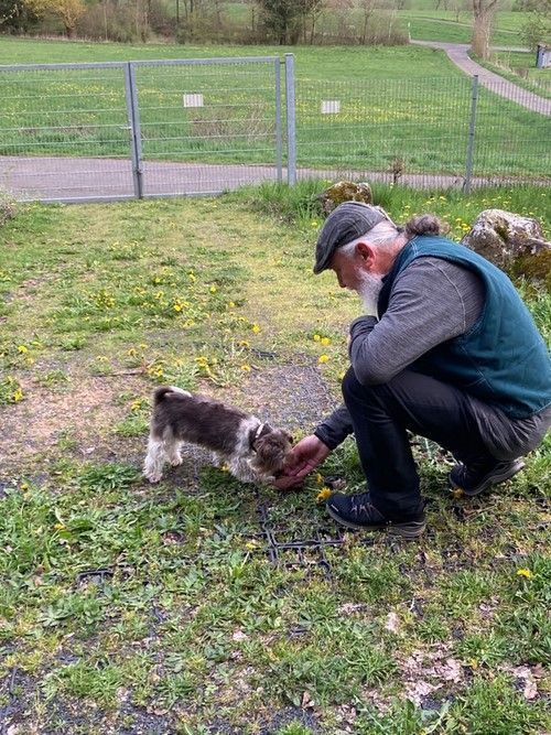 Sommerkurs 2023 Bild 5 TRAINING SACRED DOG