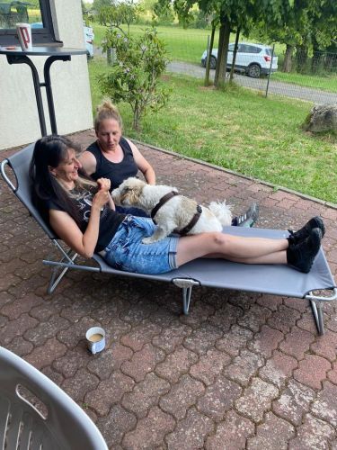 Sommerkurs 2023 Bild 32 TRAINING SACRED DOG