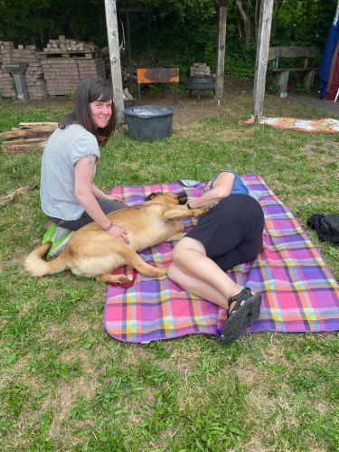 Sommerkurs 2023 Bild 34 TRAINING SACRED DOG