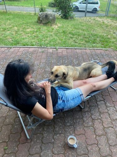 Sommerkurs 2023 Bild 35 TRAINING SACRED DOG