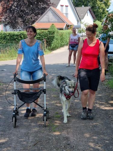 Sommerkurs 2023 Bild 37 TRAINING SACRED DOG