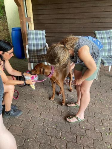 Sommerkurs 2023 Bild 46 TRAINING SACRED DOG