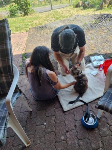 Sommerkurs 2023 Bild 52 TRAINING SACRED DOG