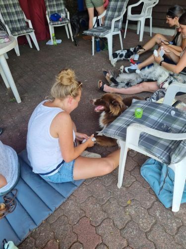 Sommerkurs 2023 Bild 50 TRAINING SACRED DOG