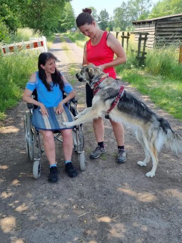 Sommerkurs 2023 Bild 40 TRAINING SACRED DOG