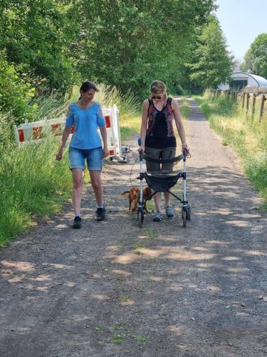 Sommerkurs 2023 Bild 53 TRAINING SACRED DOG
