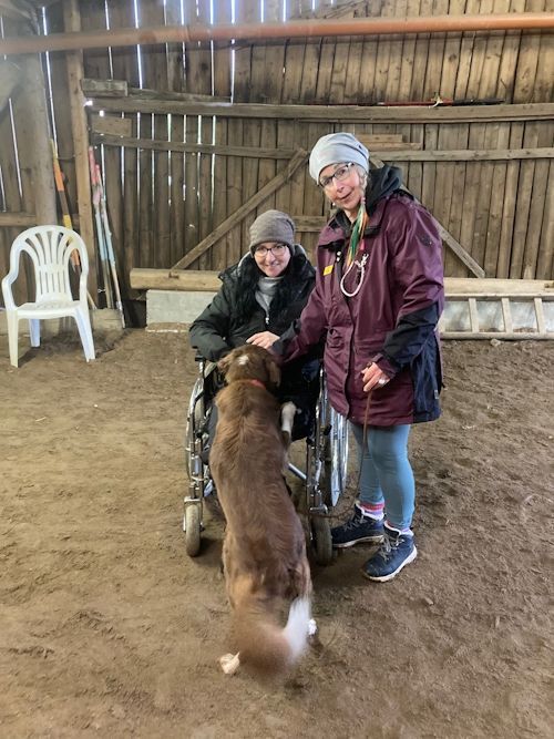 Winter 2023/2024 TRAINING SACRED DOG Bild 4