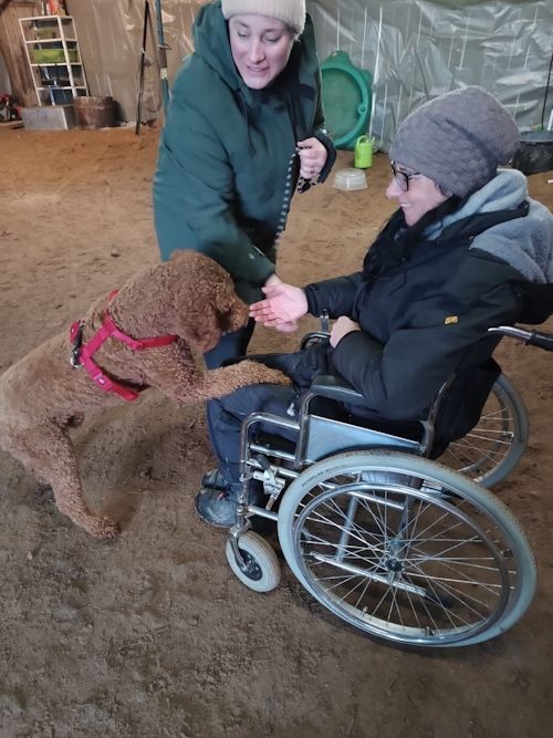 Winter 2023/2024 TRAINING SACRED DOG Bild 6