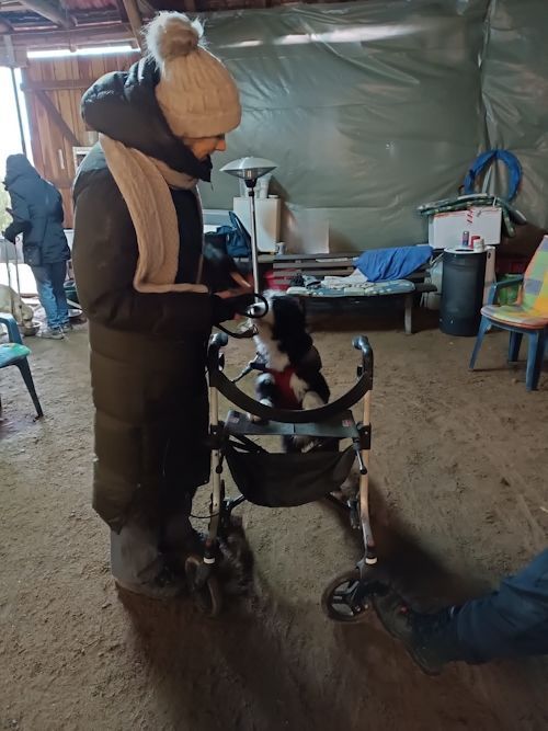 Winter 2023/2024 TRAINING SACRED DOG Bild 8