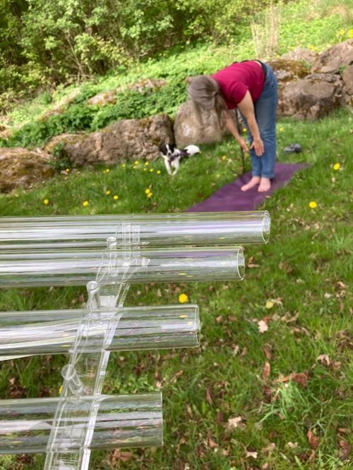 Wander-Yoga mit Hund 7