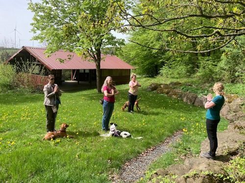 Wander-Yoga mit Hund 1