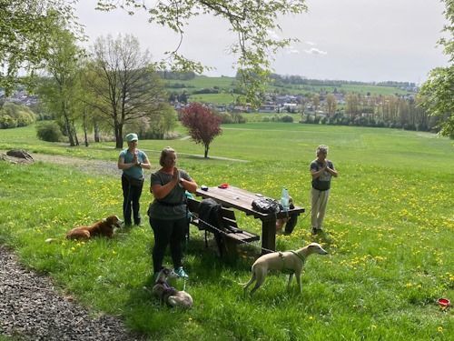Wander-Yoga mit Hund 2