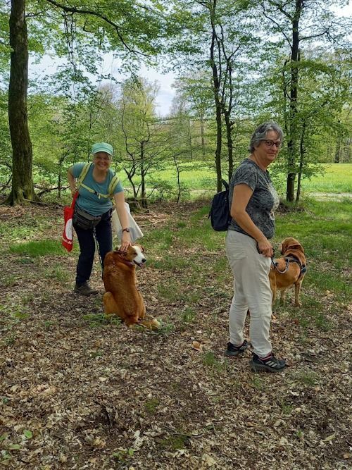 Wander-Yoga mit Hund 8