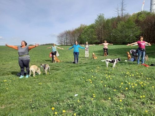 Wander-Yoga mit Hund 4