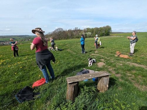 Wander-Yoga mit Hund 5